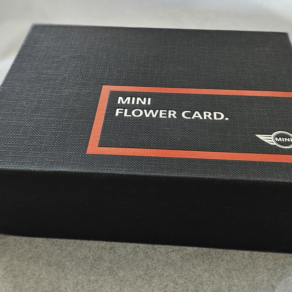 Colorful Card Game Set - Picture 3 of 4